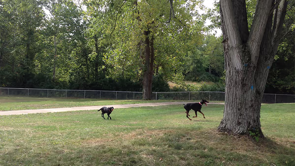 Fort Harrison State Park Dog Park photo 2